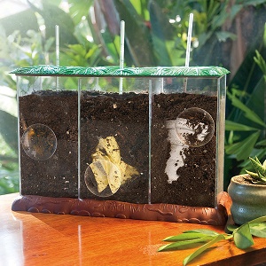 teaching device for composting See-Through Compost Container