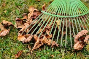 Getting the Garden Ready for Winter