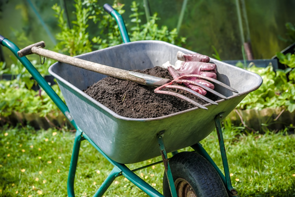 Composting Basics