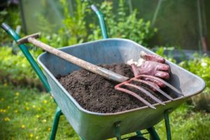 Vegetable Garden with Raised Beds