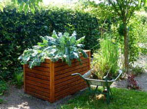 Vegetable Garden with Raised Beds