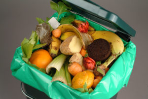 Compost In An Apartment
