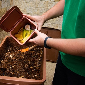 compost improves soil health