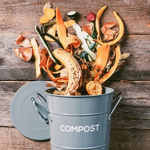 winter composting