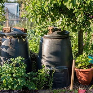 compost improves soil health