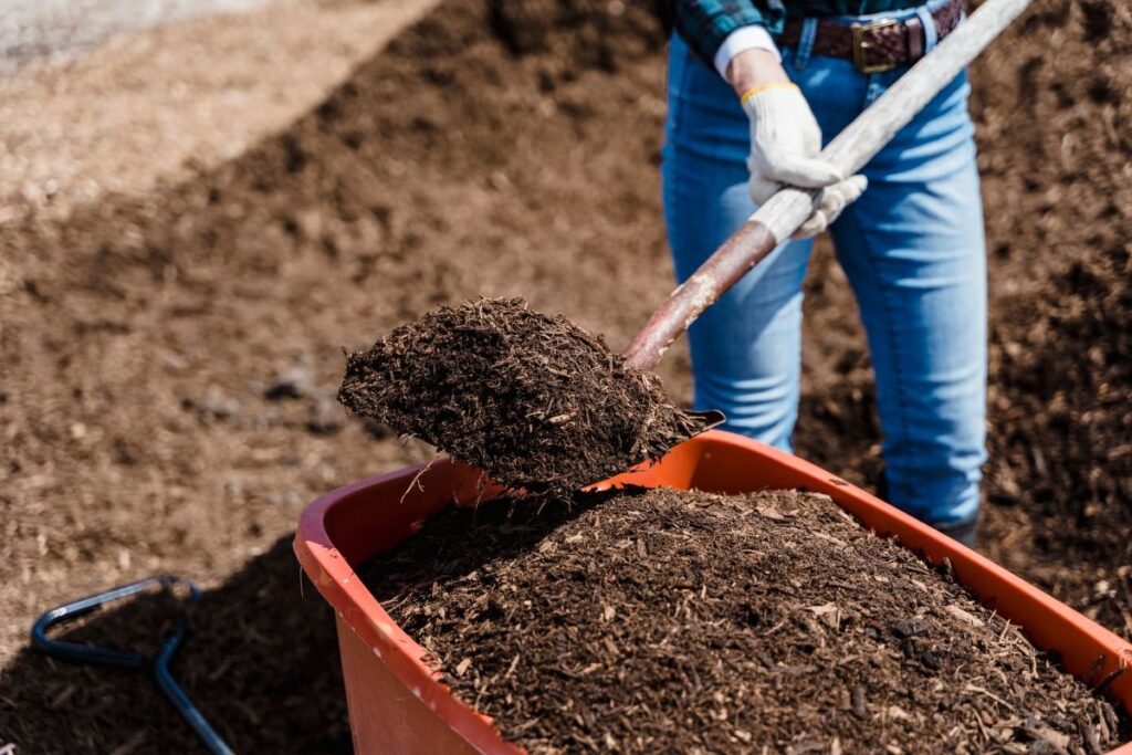 compost improves soil health