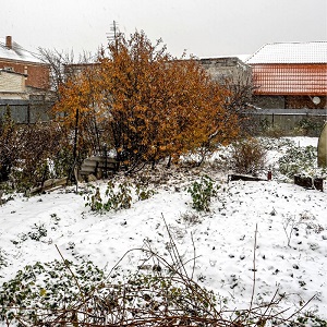 composting in cold climates