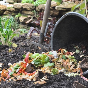 trench composting for vegetable gardens