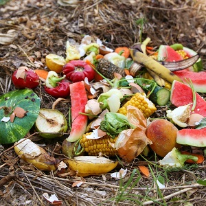 trench composting for vegetable gardens