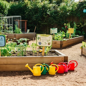 composting or fertilizer