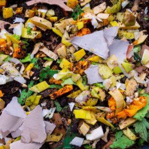 compost paper cardboard and newspaper